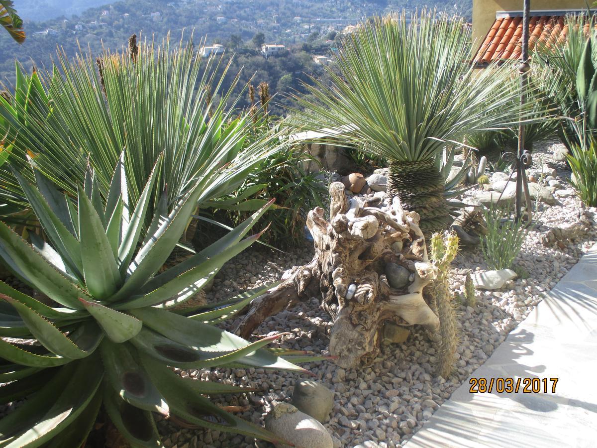 Les Mimosas Bed and Breakfast Menton Exteriör bild